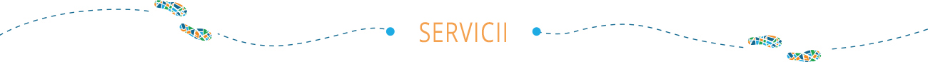 sec-servicii