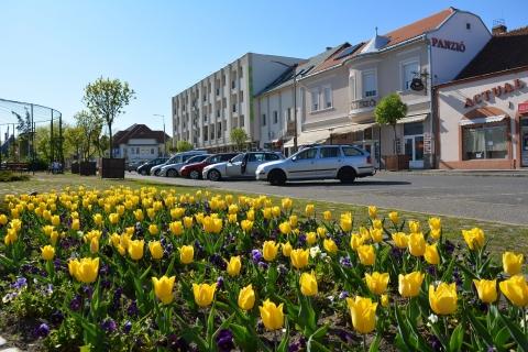 mátészalka