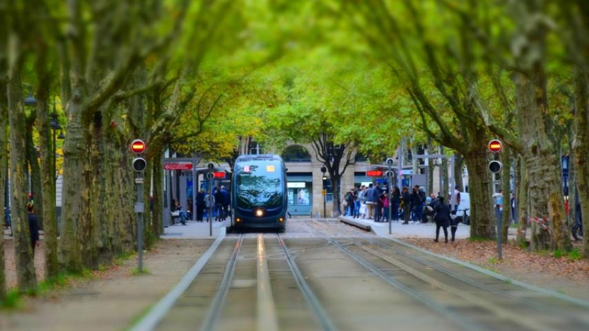 bordeaux