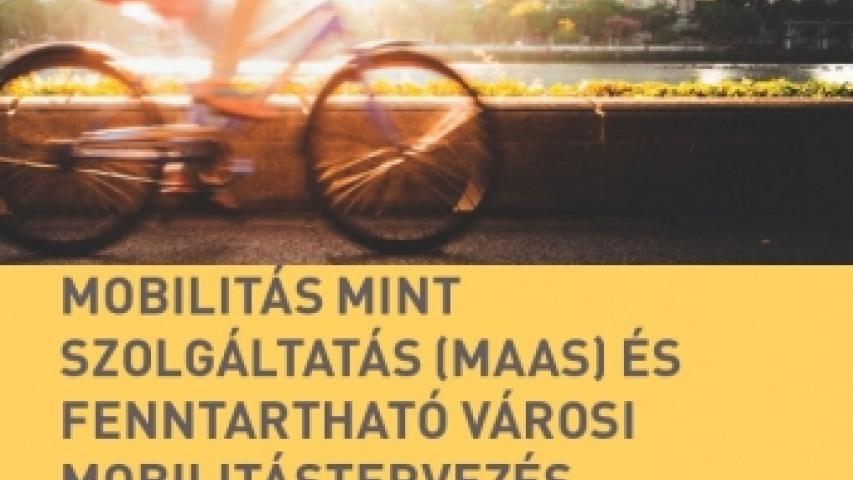 immasi
